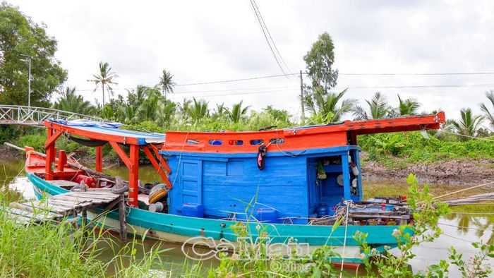 Phương tiện câu mực của gia đình ông Q.V.B.