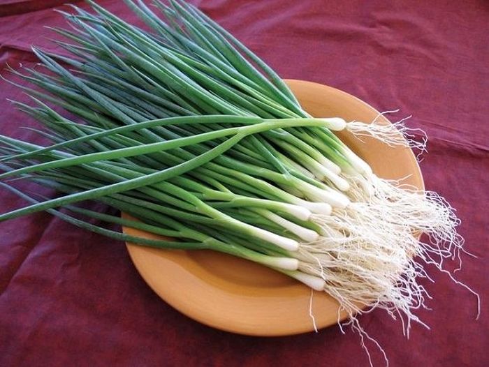 Hành lá xuất hiện trong vô số món ăn của người Việt