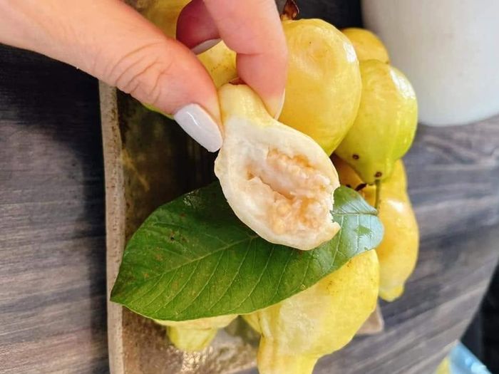 Không chỉ ăn trực tiếp, ổi mỡ còn được một số người mua về ngâm rượu hoa quả - Ảnh minh hoạ