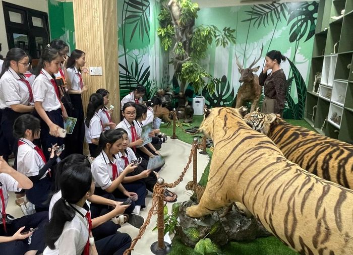 Các em học sinh tham quan không gian trưng bày, trực tiếp quan sát các mẫu vật 