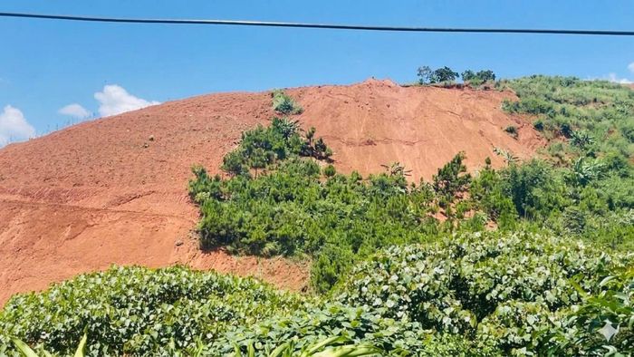 Tình trạng sử dụng đất sai mục đích, lấn chiếm rừng để mở rộng diện tích đất sản xuất nông nghiệp vẫn diễn biến phức tạp tại một số địa phương