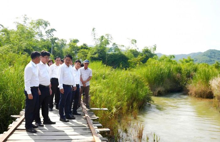  Bí thư Tỉnh ủy Lương Nguyễn Minh Triết chỉ đạo rà soát, đề xuất dự án cầu Sông Cô khắc phục hậu quả bão lũ năm 2026. 