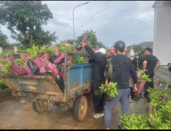 Người dân thôn 4, xã Bom Bo tham gia trồng hoa, hưởng ứng chương trình Sắc vàng đường quê