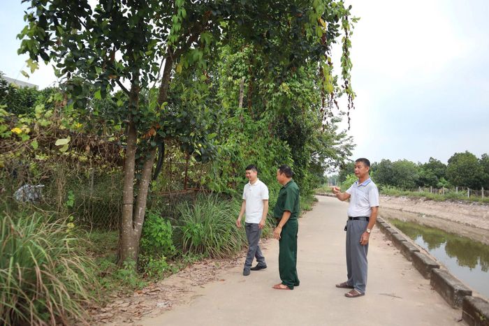 Tuyến đường có chiều rộng 3m, dài khoảng 800m men theo dòng sông Hát Giang. Ảnh: NM