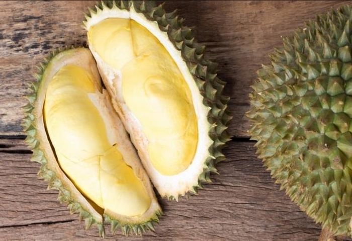  Đây là loại sầu riêng cao cấp nhất ở Thái Lan và thường được dùng làm quà biếu. Trong số các loại sầu riêng Nont, có hai loại nổi bật: loại đắt nhất, sầu riêng Kanyao và loại có giá cả phải chăng hơn một chút là sầu riêng Mon Thong. (Ảnh: Dutatv) 
