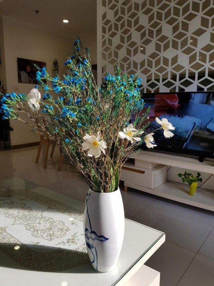 Là một người nổi tiếng được yêu mến, nhưng BTV Hoài Anh rất kín tiếng về đời tư. Nơi ở của nữ BTV luôn khiến mọi người tò mò. Theo Phụ Nữ Mới, căn hộ nơi BTV Hoài Anh không quá hoành tráng, thậm chí còn rất giản dị. Nhưng có lẽ vì vậy mà cô càng khiến người khác thấy thiện cảm. Căn hộ được thiết kế theo tone trắng chủ đạo làm toát lên nét thanh lịch, ngăn nắp. Diện tích căn nhà tuy không quá lớn nhưng lại thoáng đãng vì mọi đồ đạc đều được bố trí rất hợp lý, gọn gàng.