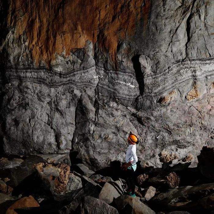 Trong hang Sơn Đoòng có các vách đá chứa đầy hóa thạch san hô, ốc, sò, xương cá… Ảnh: Oxalis Adventure.