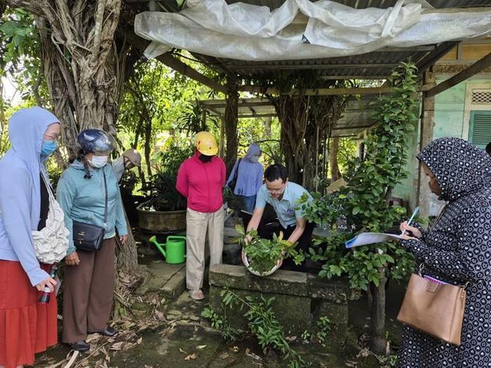 CDC TP Huế triển khai các hoạt động phòng chống dịch sốt xuất huyết. Ảnh: AS.