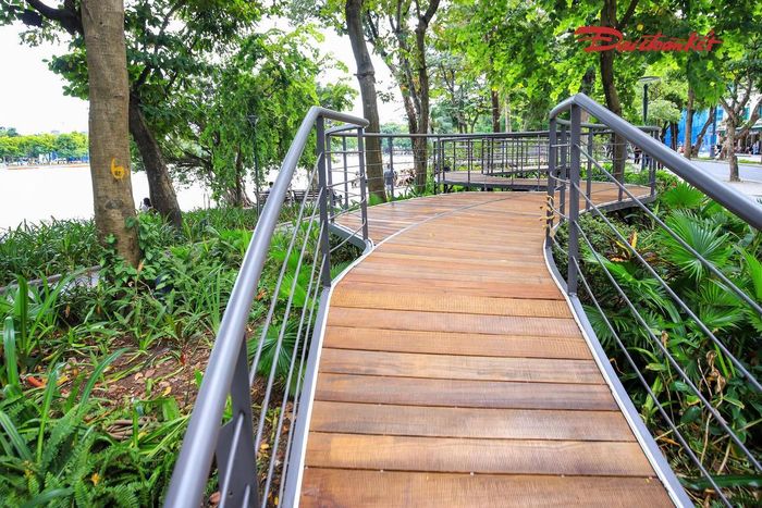 Theo phương án thiết kế, tuyến cầu có tổng chiều dài khoảng 800m và được nâng nhẹ khỏi mặt đất, đi phía trên tầng cây thấp và thảm cỏ. Cách bố trí này nhằm hạn chế tác động trực tiếp đến khu vực rễ của những cây lớn, đồng thời giữ lại cảnh quan phía dưới.