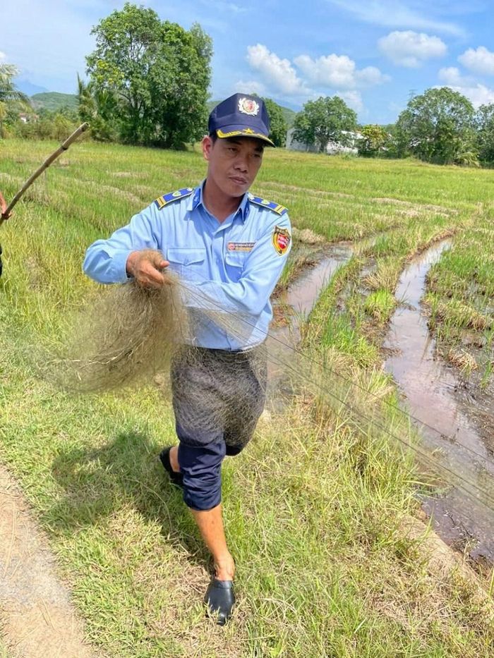 Nhiều vụ việc giăng lưới bẫy chim đã được phát hiện, ngăn chặn; nhiều cá thể chim hoang dã và chim yến được giải cứu, thả về môi trường tự nhiên