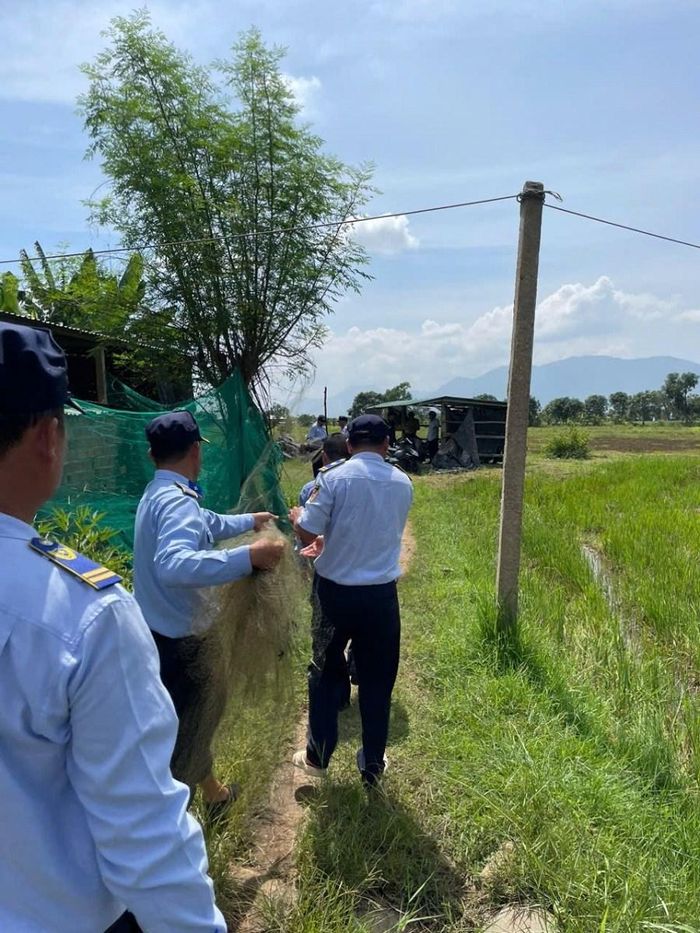 Bảo vệ đàn chim yến và chim hoang dã không chỉ là nhiệm vụ của lực lượng chức năng mà cần sự chung tay của cộng đồng