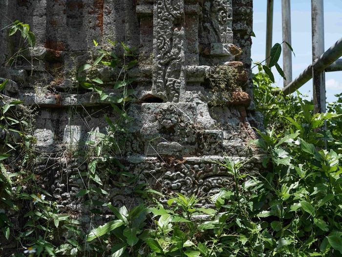 Rêu phủ mờ hoa văn trên gạch nơi chân tháp