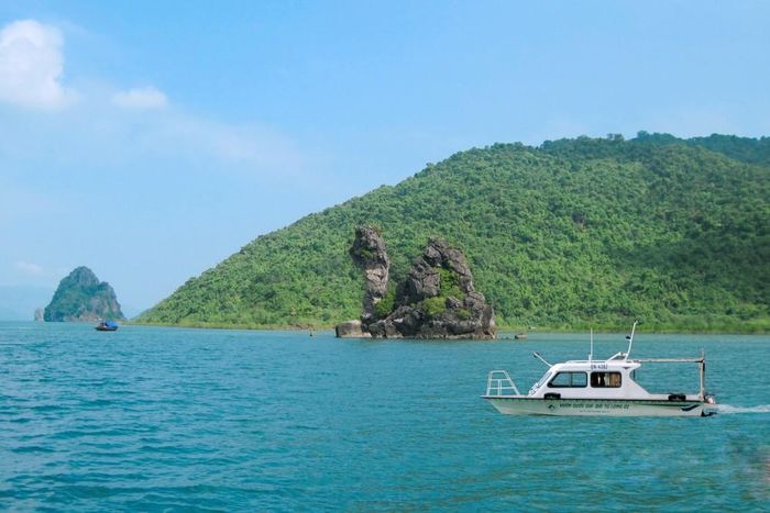 Hòn Thiên nga đá trên Vịnh Bái Tử Long. Ảnh TTXVN phát