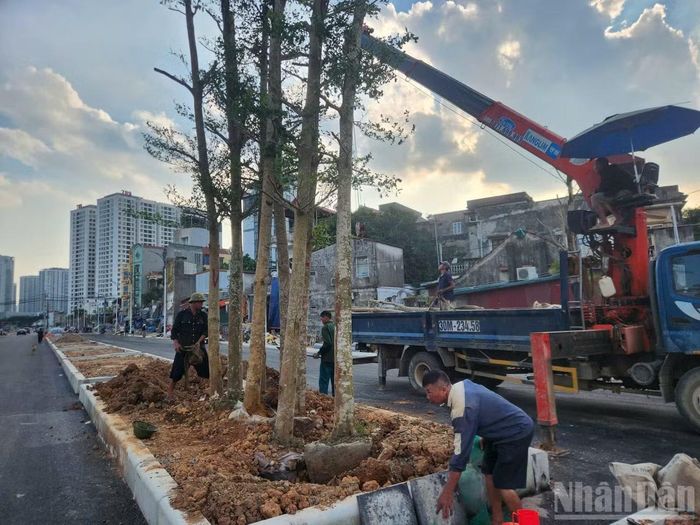 Hạng mục trồng dải cây xanh che phủ tại dải phân cách được thực hiện chiều 5/10/2026.