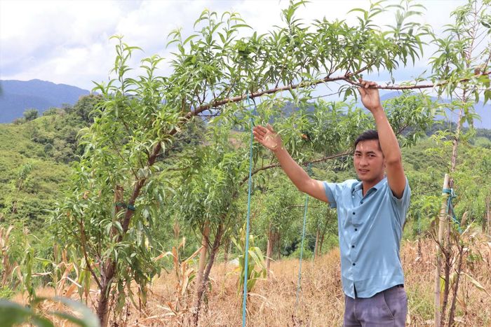 Đồng chí Lầu Bá Pó, Bí thư Chi bộ bản Tổng Khư với khát vọng chung tay đưa người dân trong bản sớm thoát khỏi nghèo đói. (Ảnh: TRẦN TRUNG HIẾU)
