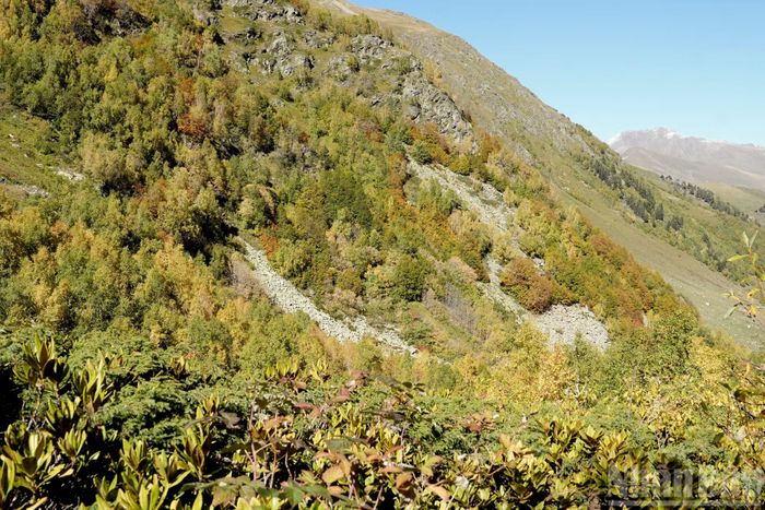 Vùng núi Arkhyz nằm ở khu vực Zelenchuksky, Cộng hòa Karachay-Cherkessia, Liên bang Nga. Ở tây bắc Kavkaz, phần lớn Karachay-Cherkessia là địa hình núi, riêng Arkhyz nằm trong một thung lũng núi cao, ở độ cao khoảng 1.500m so với mực nước biển. (Ảnh: THANH THỂ)