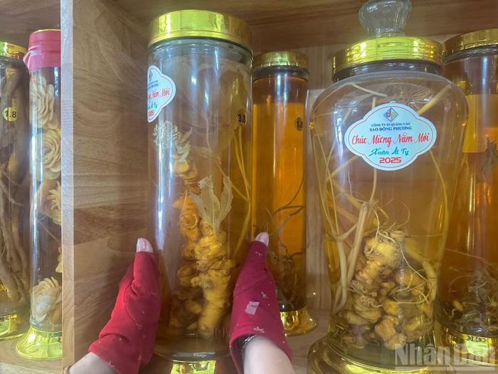 Những bình rượu ngâm dược liệu, sâm bán khi khách hàng có nhu cầu.