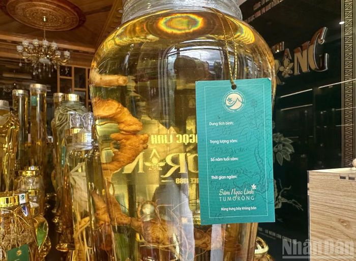 “Bình này 4 lít, củ lớn có giá 70 triệu đồng”, nhân viên bán hàng cho biết.
