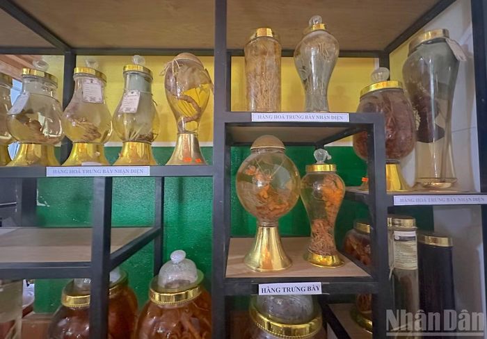 Tại nhiều showroom, cửa hàng kinh doanh sâm, dược liệu, nhiều sản phẩm chế biến thủ công đều có dòng chữ "Hàng trưng bày nhận diện", "Hàng trưng bày không bán".