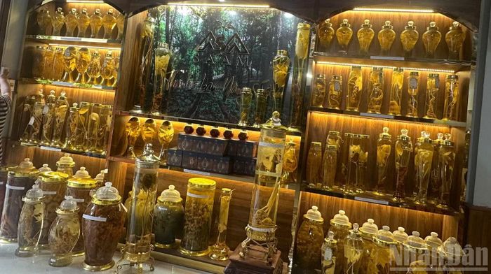 “Hàng hóa trưng bày nhận diện” tại Công ty cổ phần Dược liệu Sâm Việt Nam.