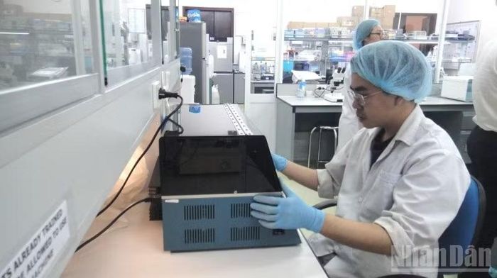 Hoạt động nghiên cứu khoa học tại Đại học Quốc gia Thành phố Hồ Chí Minh (Ảnh: CAO TÂN)