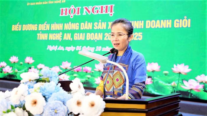 Phó Bí thư Tỉnh ủy, Chủ tịch Ủy ban Mặt trận Tổ quốc Việt Nam tỉnh Nghệ An Võ Thị Minh Sinh phát biểu tại hội nghị. (Ảnh: PQ)