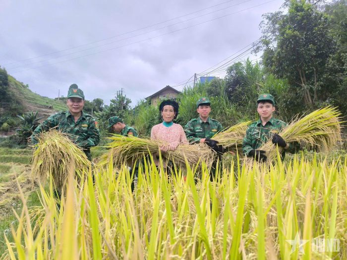  Nụ cười của cán bộ, chiến sĩ và nhân dân khi kịp thời thu hoạch vụ lúa.