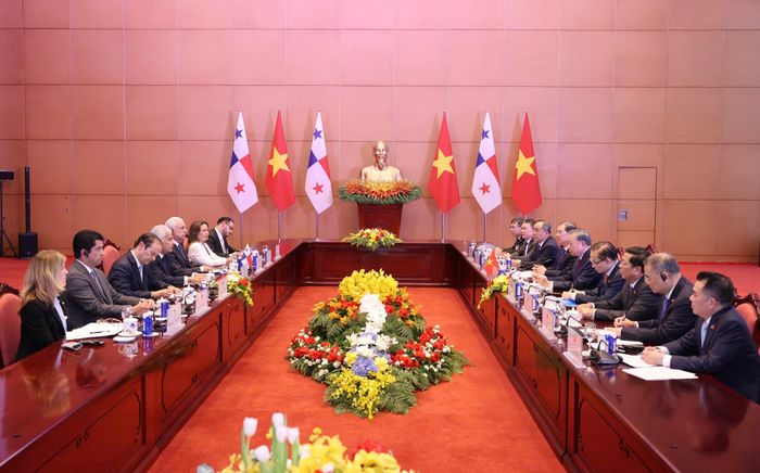  Tổng Bí thư, Chủ tịch nước Tô Lâm và Tổng thống José Raúl Mulino cùng đoàn đại biểu cấp cao hai nước tiến hành hội đàm. Ảnh: QUANG PHÚC 
