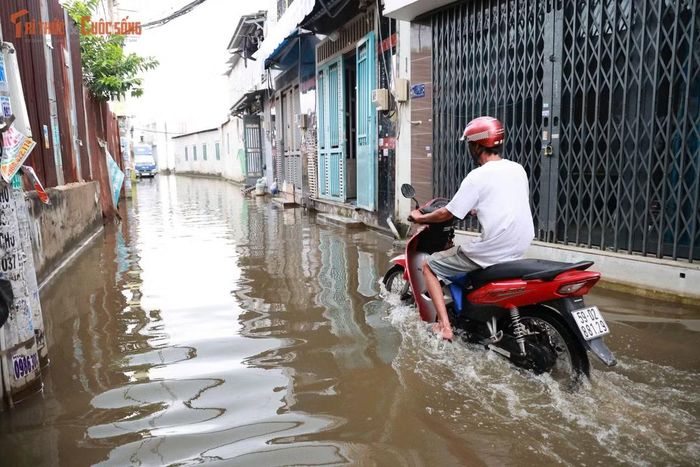 “Việc ngập dài ngày khiến đời sống người dân khó khăn vô cùng, chắc là do cống không thoát được nước. Chỉ mong chính quyền địa phương hỗ trợ người dân để đường được khô ráo trở lại”, một người dân địa phương nói.