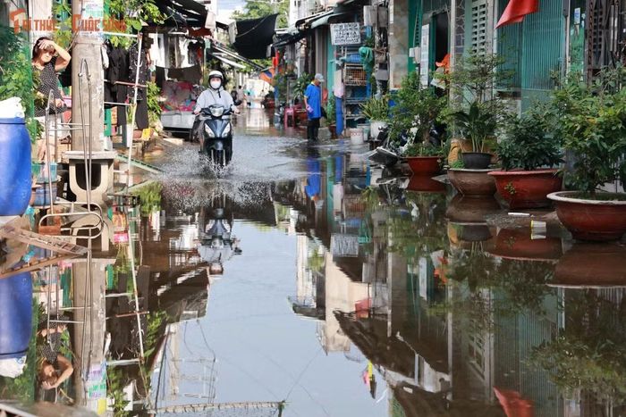 Nước phủ kín mặt hẻm, tràn sát cửa nhà dân.