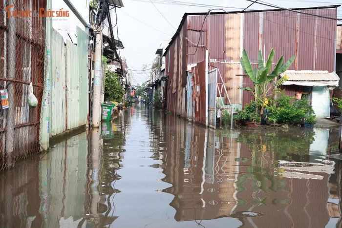 Người dân địa phương lo lắng tình trạng ngập nước kéo dài như vậy dễ phát sinh dịch bệnh.