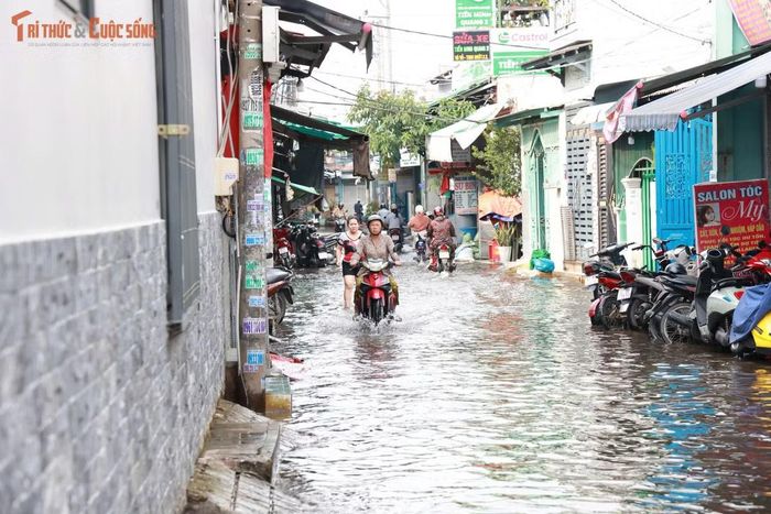 Cả con hẻm ngập trong nước bẩn kéo dài cả tuần. Người dân mong muốn cơ quan chức năng sớm có biện pháp xử lý để nước rút nhanh.