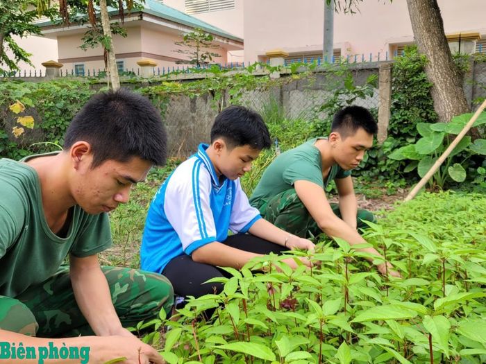 Em Nguyễn Văn Duy Chương, con nuôi Đồn Biên phòng Lạc Quới, Bộ đội Biên phòng tỉnh An Giang cùng cán bộ, chiến sĩ đơn vị chăm sóc vườn rau tăng gia trong giờ nghỉ. Ảnh: Thanh Xuân