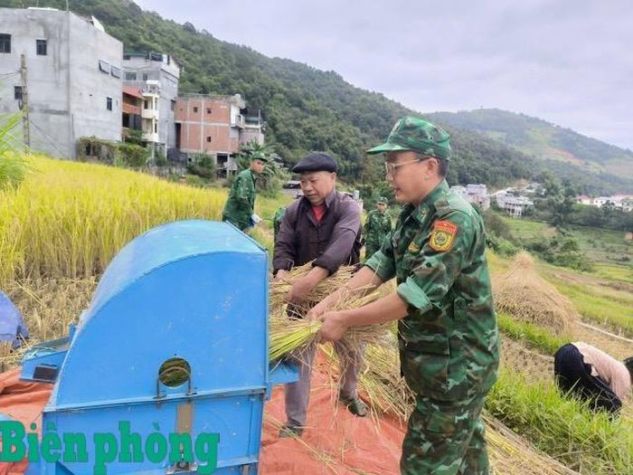 Cán bộ, chiến sĩ giúp nhân dân tuốt lúa....