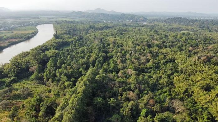 Cơ hội lớn nhất mà thị trường carbon mang lại là biến giảm phát thải thành một nguồn giá trị kinh tế thực sự. Ảnh: VGP