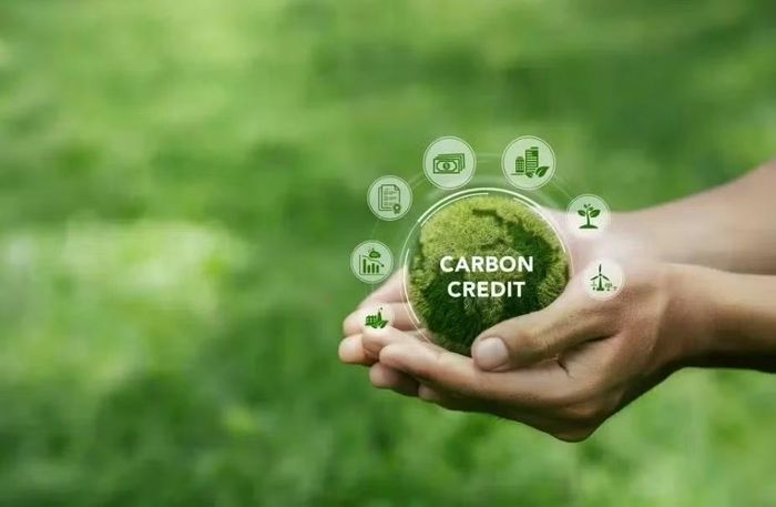 Thị trường carbon Việt Nam có nhiều điều kiện để phát triển mạnh. Ảnh: Bảo Nghi