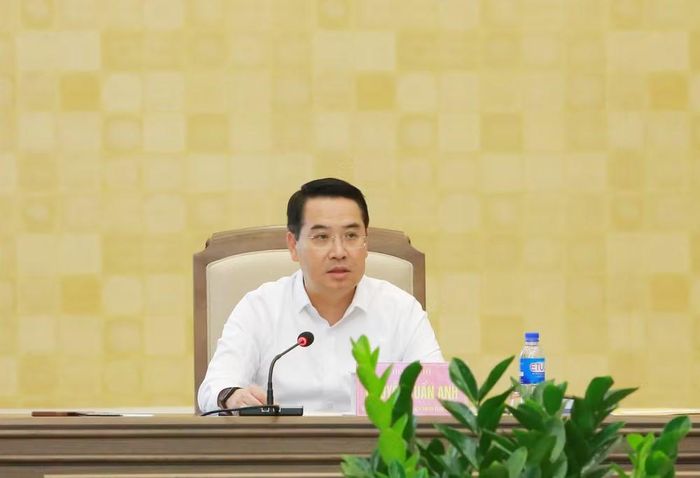 Ông Nguyễn Tuấn Anh, Chủ tịch UBND tỉnh Lào Cai phát biểu tại buổi làm việc. Ảnh: laocai.gov.vn