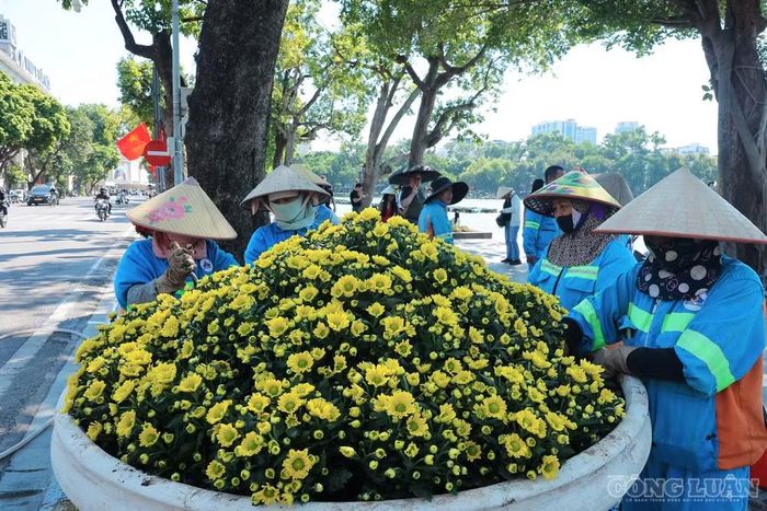 Dọc các tuyến phố, công tác trang hoàng đô thị đã được triển khai nhiều ngày nay.
