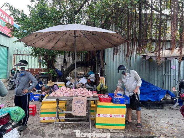 Móng giò heo đông lạnh nhập khẩu chỉ có giá 20.000 đồng/kg