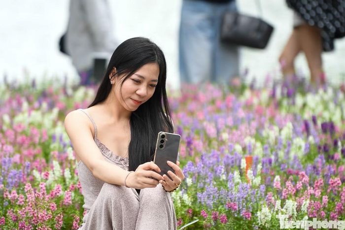 Điện thoại trở thành vật dụng không thể thiếu của những người muốn lưu lại hình ảnh bên hàng violet Nhật.