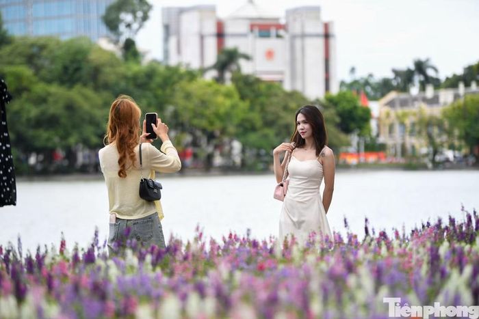 Violet Nhật tạo thêm một điểm nhấn mới trên tuyến đi bộ quanh Hồ Gươm, nơi vốn tập trung đông người vào cuối tuần và các buổi tối.