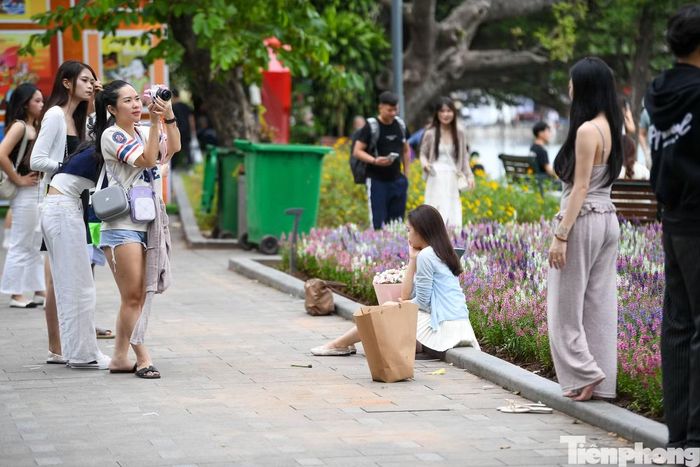 Do nằm sát lối đi, dải hoa dễ thu hút sự chú ý của người qua lại. Có thời điểm, nhiều người cùng đứng chờ để chụp ảnh.