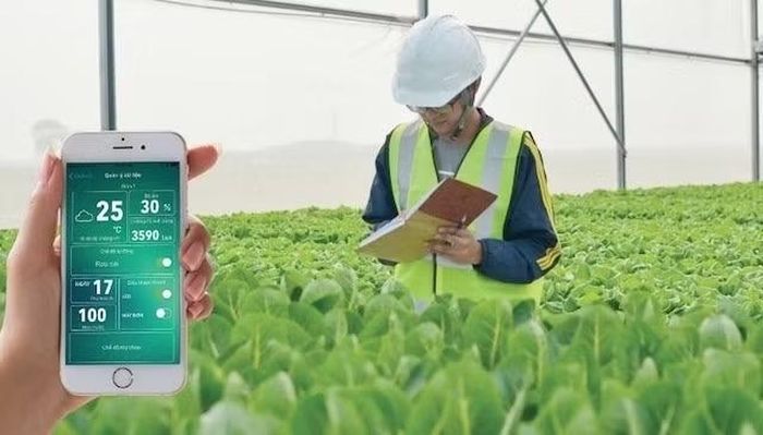 Hà Nội đẩy mạnh nông nghiệp thông minh bằng IoT, hướng tới tự động hóa toàn diện. (Ảnh minh họa)