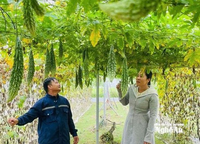 Tín dụng chính sách hỗ trợ người dân Đô Lương phát triển sản xuất kinh doanh
