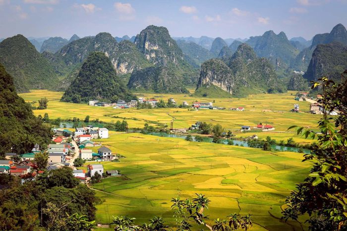 Thung lũng Ngọc Côn cuối tháng 9 vàng ruộm