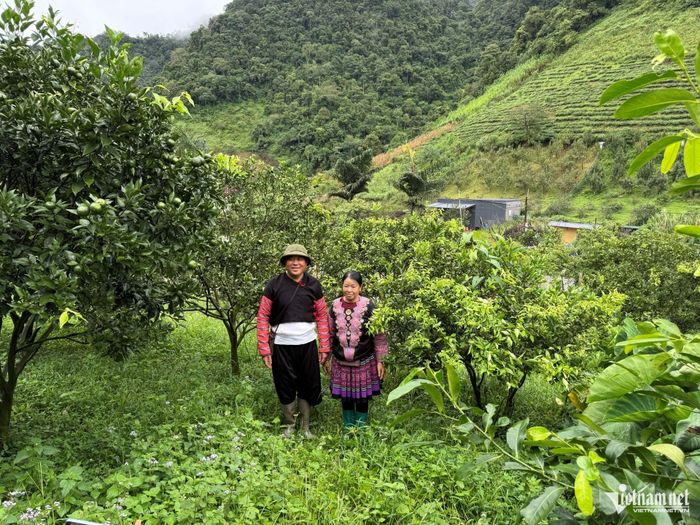Vợ chồng anh Tráng A Cao tại khu vườn sinh thái ở Hua Tạt. Ảnh: Bình Minh