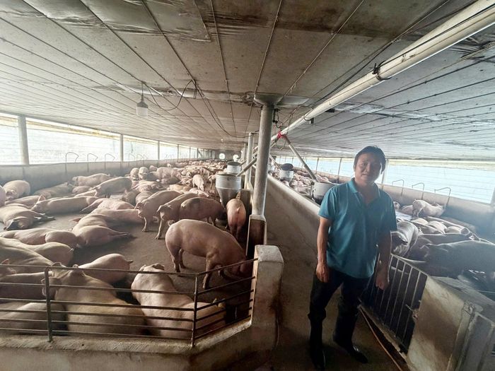 Mở rộng điều tra, Cơ quan CSĐT đã đồng loạt khám xét khẩn cấp tại 14 địa điểm là các trang trại, nơi ở của các đối tượng tại phường Trị An, phường Dầu Giây, xã Hưng Thịnh, xã Bàu Hàm... của TP Đồng Nai.