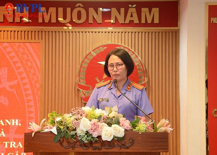  Đại diện VKSND khu vực 2 trình bày tham luận.