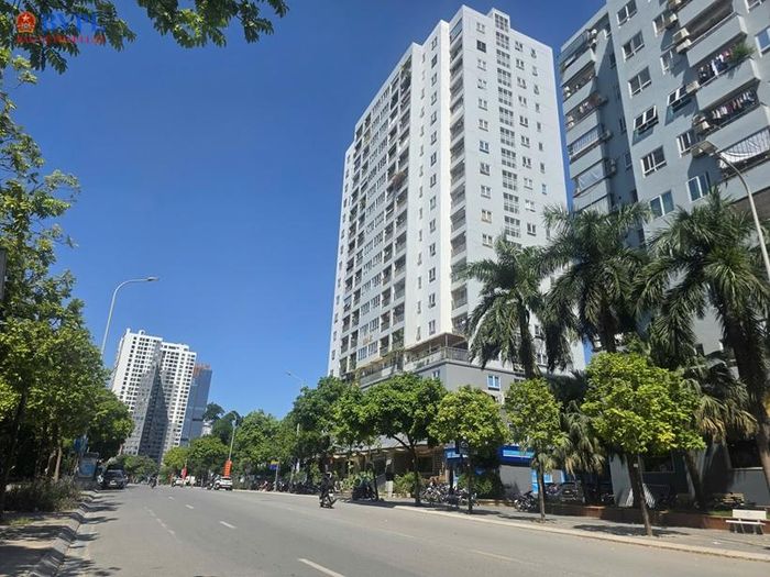 Không gian này được định hướng hoạt động vào các ngày cuối tuần, kết hợp các chương trình văn hóa, nghệ thuật, vui chơi, ẩm thực, thương mại và các hoạt động dành cho cộng đồng. Thành phố cũng dự kiến bổ sung hệ thống chiếu sáng, biển chỉ dẫn, rào chắn mềm, điểm trông giữ phương tiện, nhà vệ sinh công cộng, thùng rác, ghế nghỉ và cây xanh di động.
