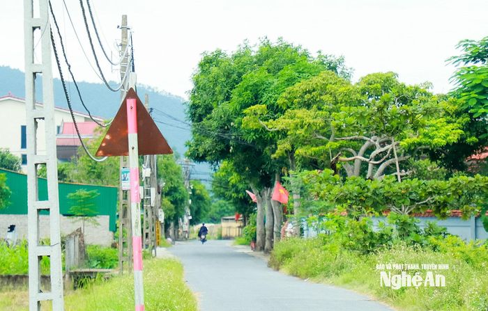 Chủ tịch UBND tỉnh thống nhất đầu tư đường Kim Yên dài 0,67 km, nền đường rộng 18 m tại phường Vinh Hưng. Ảnh: Thành Duy